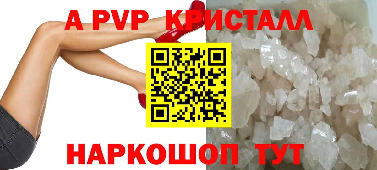 A PVP СК Печора