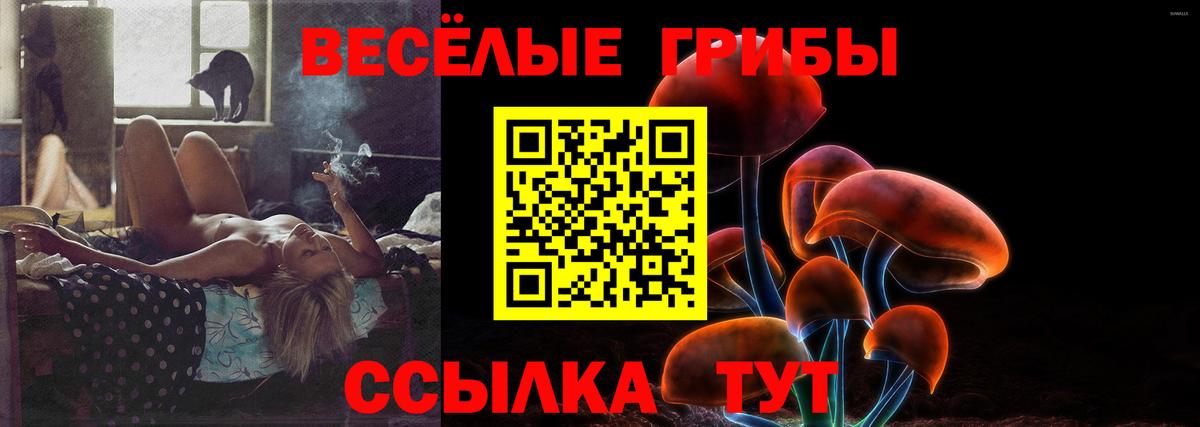 Псилоцибиновые грибы Psilocybe  Вход с VPN  Печора  Псилоцибиновые грибы мухоморы 